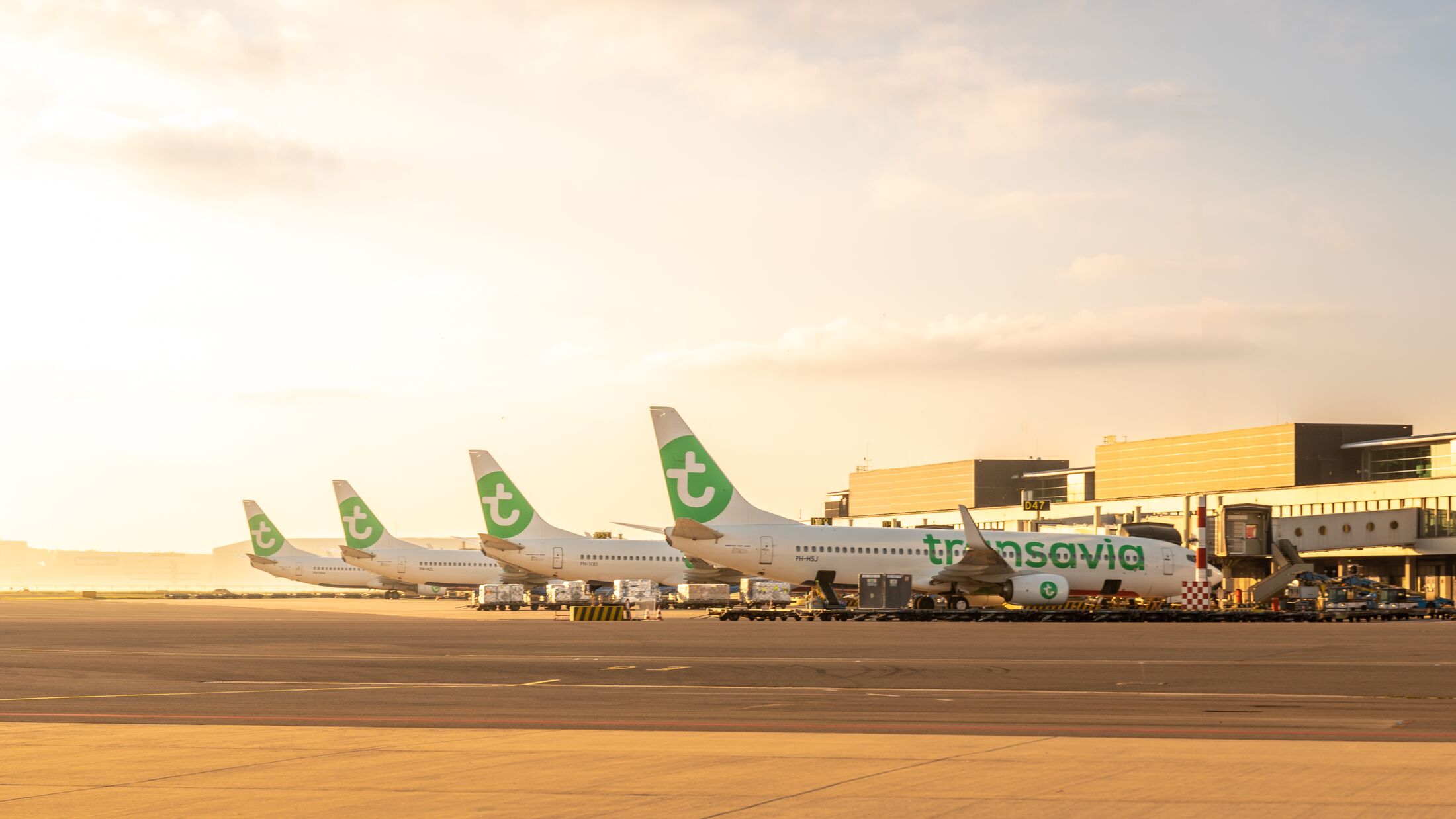 Missing 2025 luggage transavia